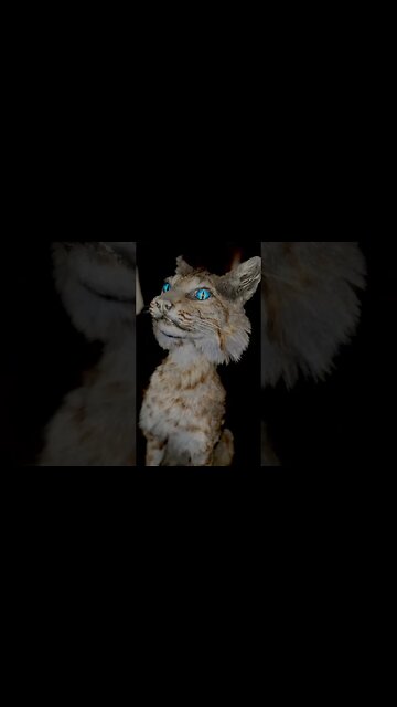 Hard Work No Handouts #shorts #youtubeshorts #workhard #dohardthings #dohardwork #selfmade #wakeup