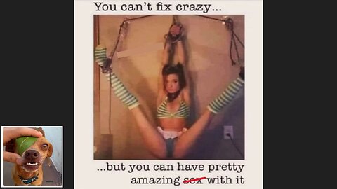 Memes That Will 99.84% Make You Laugh. (e65)