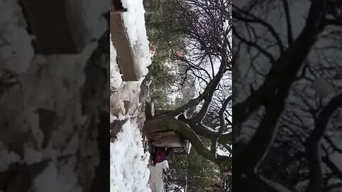 کشمیر برف باری