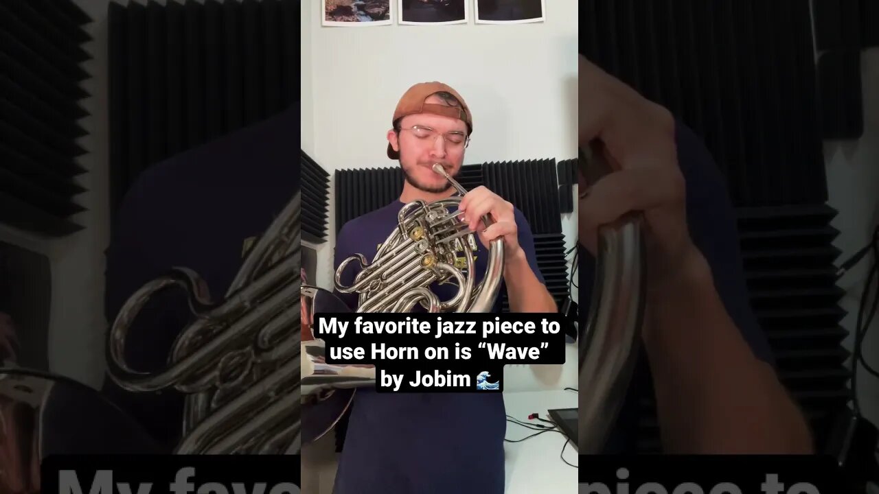 “Not a Jazz Instrument…” • • • #jazz #jazzmusic #practice #brass #frenchhorn #horn #wave #bossanova