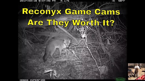 Reconyx Game Cameras - Are They Worth It?