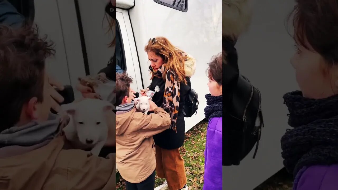 KIDS see their new puppy for the first time 🥹