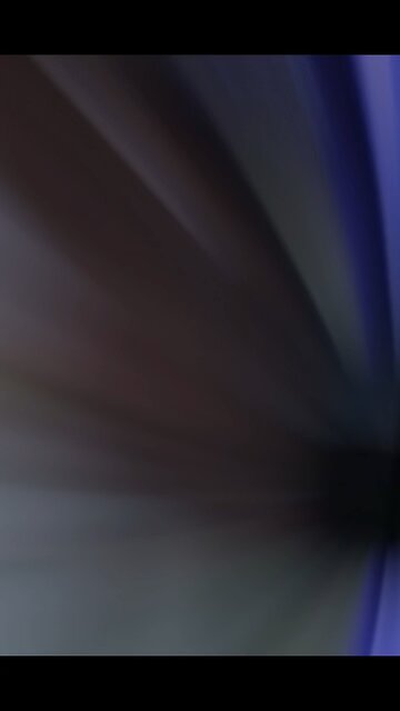 Searching for the Lost Sheep of Israel