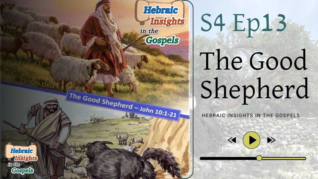 John 10:1-21 - The Good Shepherd - HIG S4 Ep13