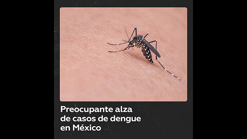 Los casos de dengue aumentan más de un 4.000% en estado mexicano