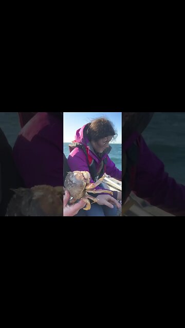 Dingy Crabbing the Pacific