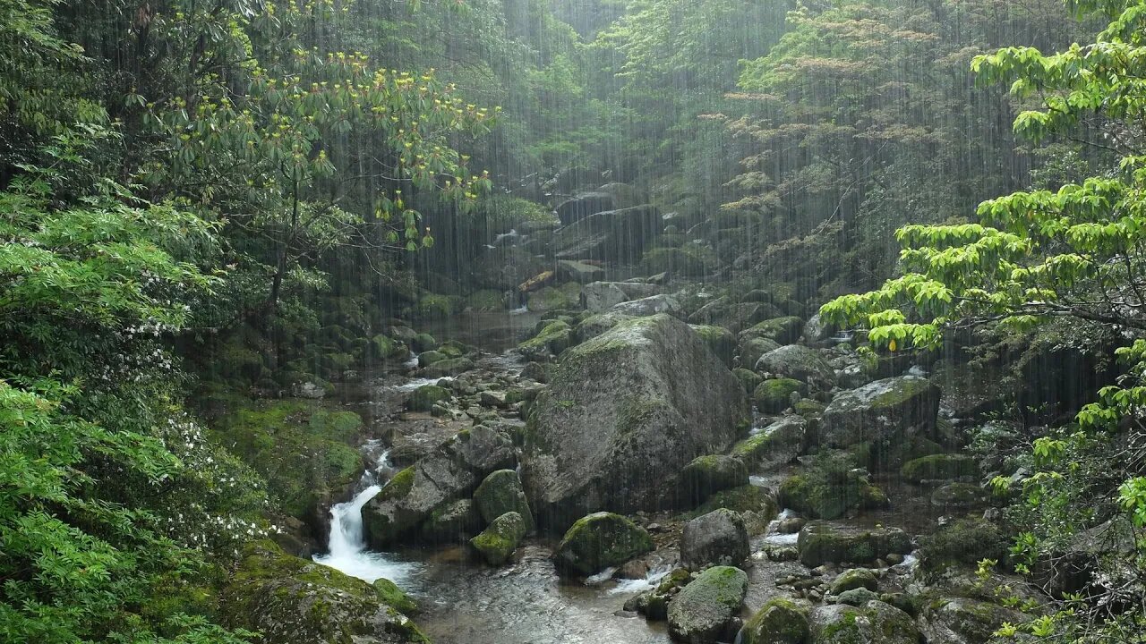 Relaxing Rain and Bird Sounds for Sleeping