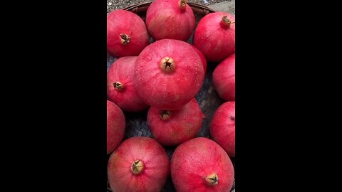 beautiful pomegranate