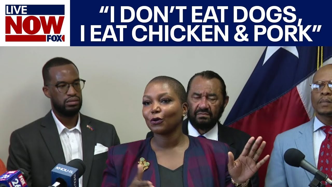 WATCH: Haitian immigrant pleads with public and Trump: "I don't eat dogs or cats"