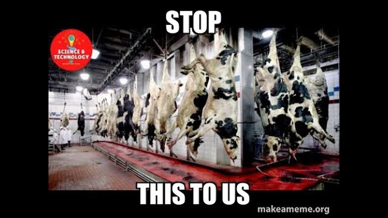 How Magic Moo Owns My Channel Now