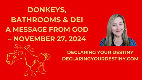 DONKEYS, BATHROOMS & DEI - A MESSAGE FROM GOD - NOVEMBER 27, 2024