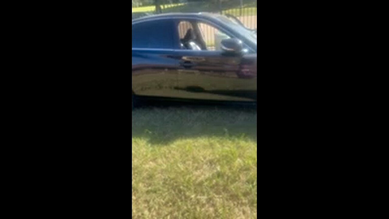 Believe It Or Not.. No One Was Hurt