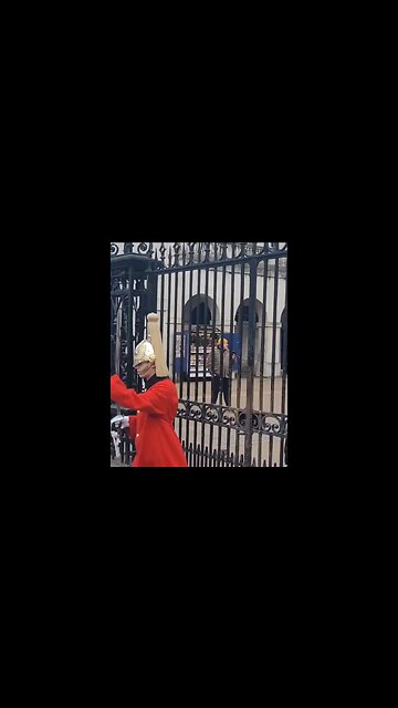 Hello 👋 a wave at the guard #horseguardsparade