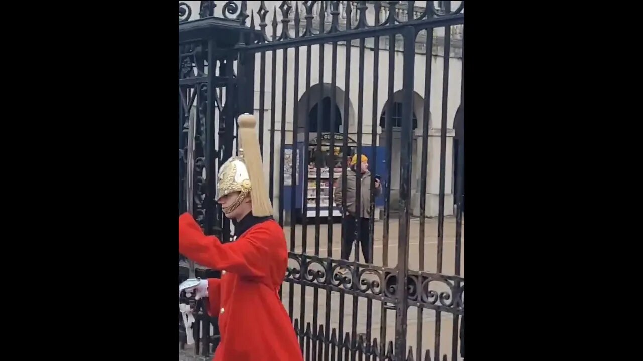 Hello 👋 a wave at the guard #horseguardsparade