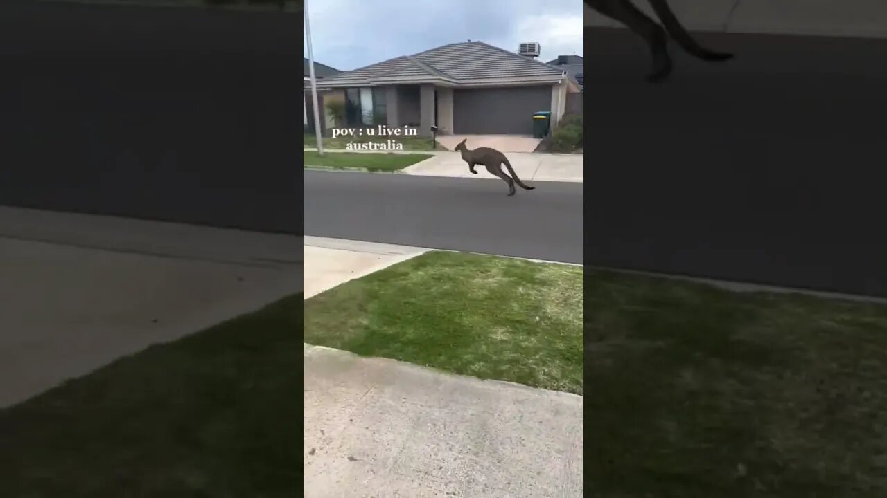 BRO RUNNING LATE TO WORK! 😹😹 #shorts #viral
