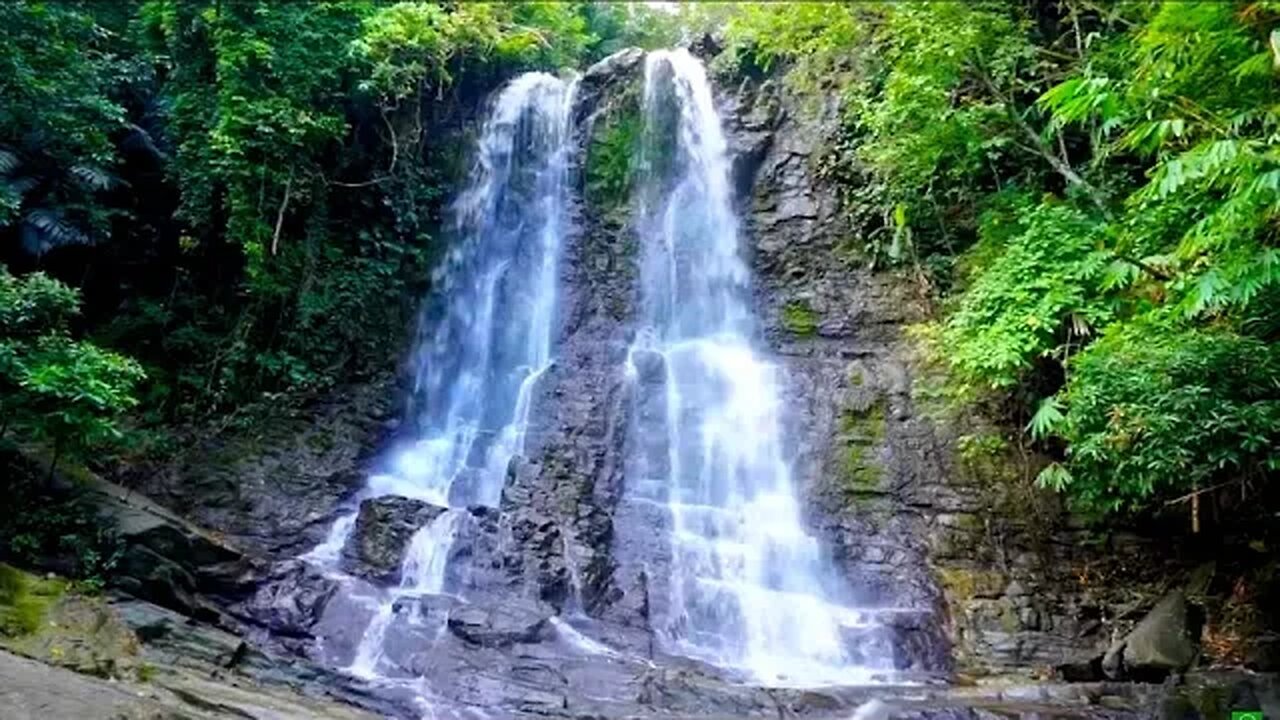 Study & read to the sound of waterfall