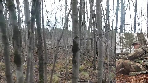 Epic Wisconsin public land gobbler!!