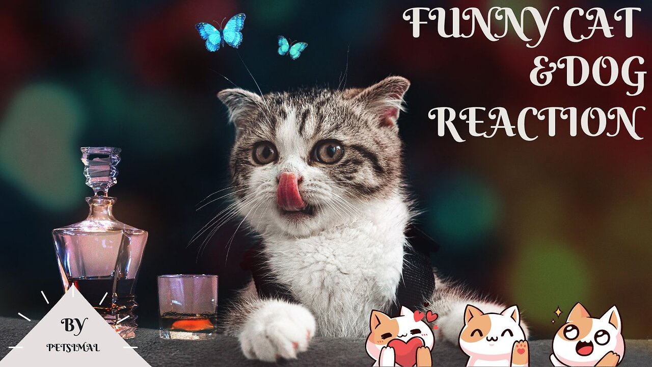 π"The Cutest, Most Adorable Pets That Will Make Your Heart Melt!"πΆπΆπΆ