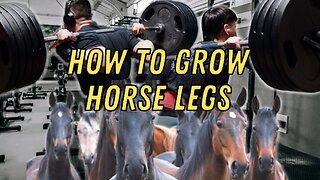 INSANE LEG WORKOUT
