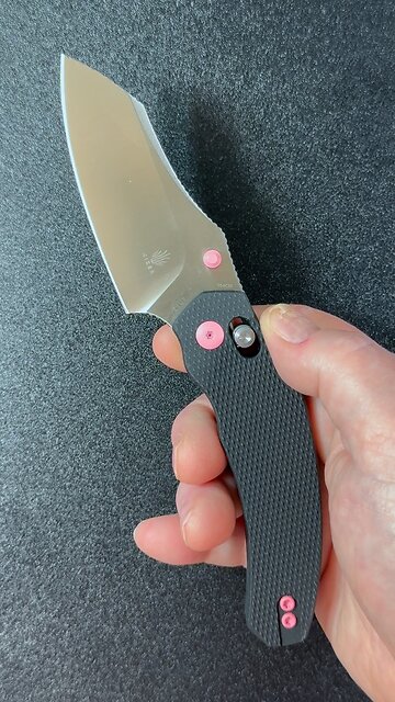 A quick look at the Kizer Bulldog