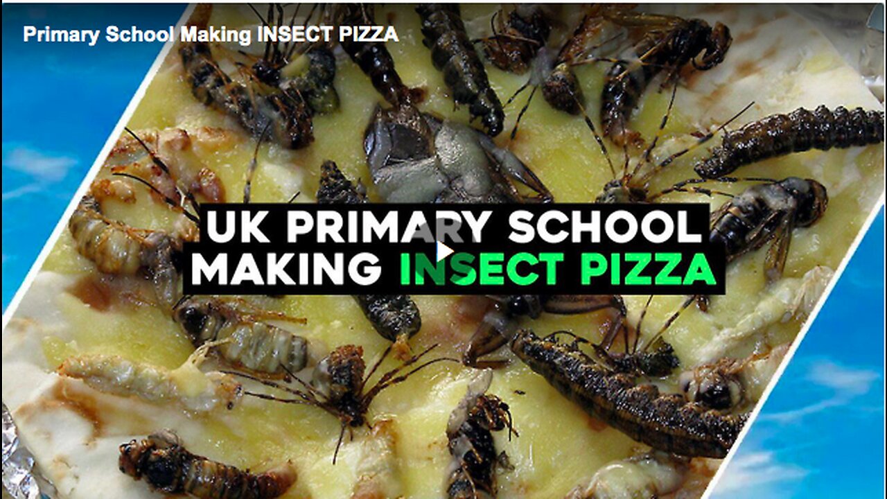 Primary school in the United Kingdom making insect pizza for its students