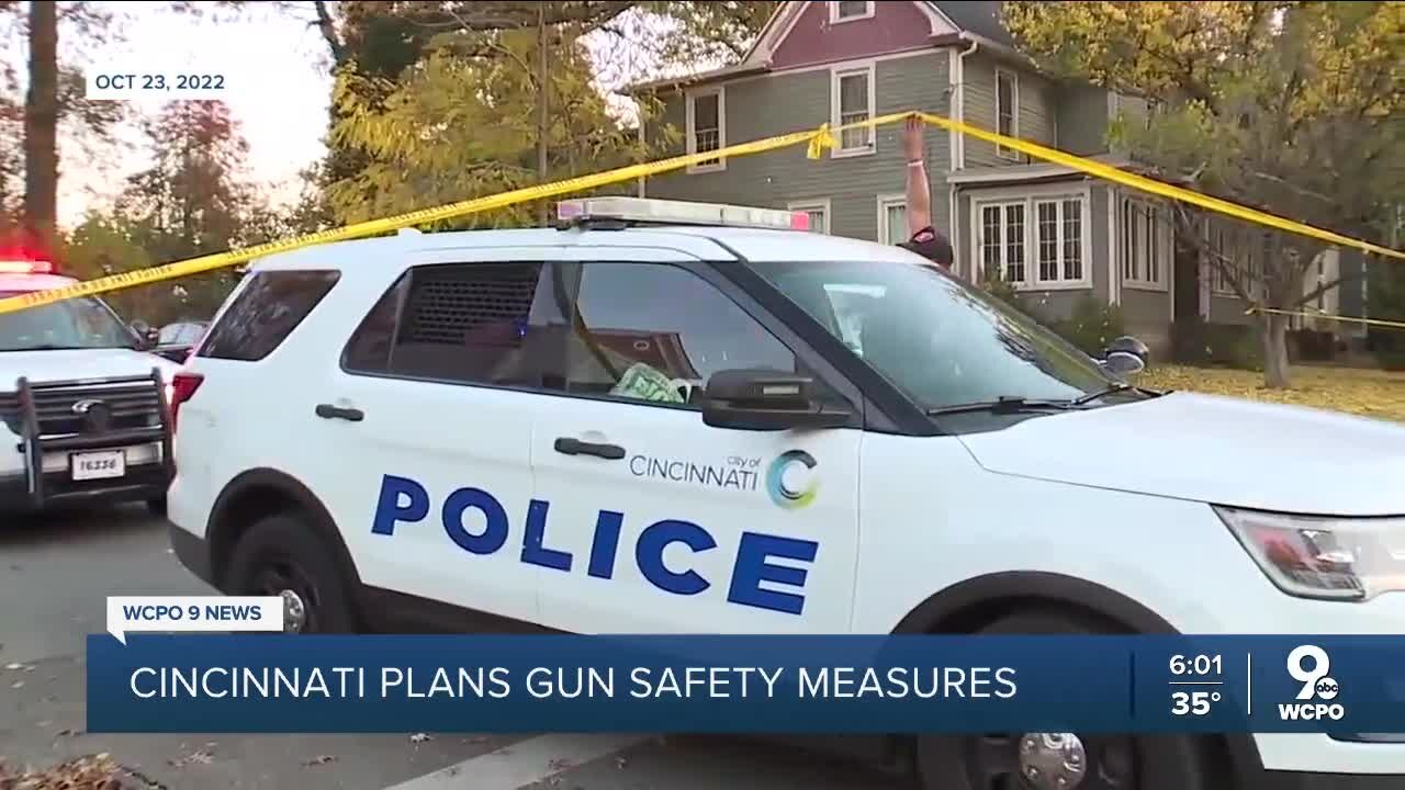 City wants to make it illegal for people convicted of domestic violence to own gun