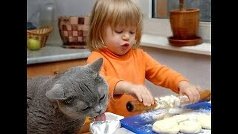 😺 Helpers in the kitchen! 🐈 Videos of funny cats and kittens for a good mood! 😻