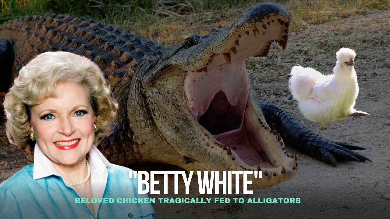 Betty White Tragically Fed to Alligators