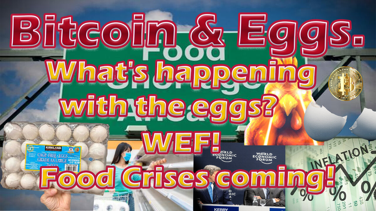 Bitcoin & Eggs. What's happening with the eggs? WEF! Food Crises coming!