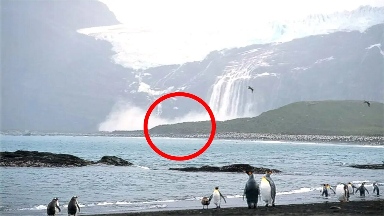 Why Did Wikileaks Suddenly Upload These 24 Photos Of Antarctica?