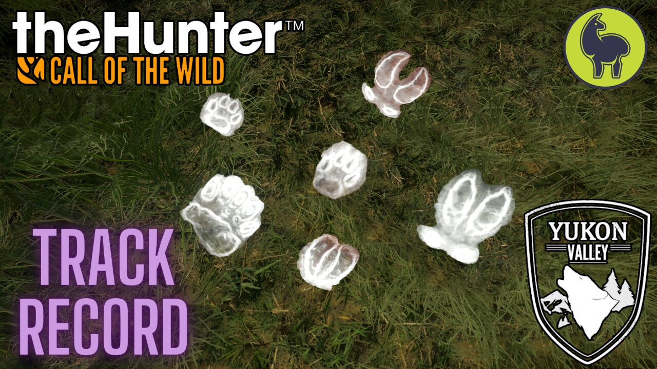 Track Record, Yukon Valley | theHunter: Call of the Wild (PS5 4K)