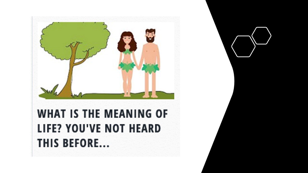 What Is the Meaning of Life?