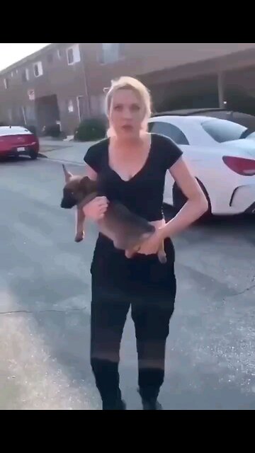 Happy ending: I couldn't stand idly by as this evil lady threw this puppy. Eye for an eye.