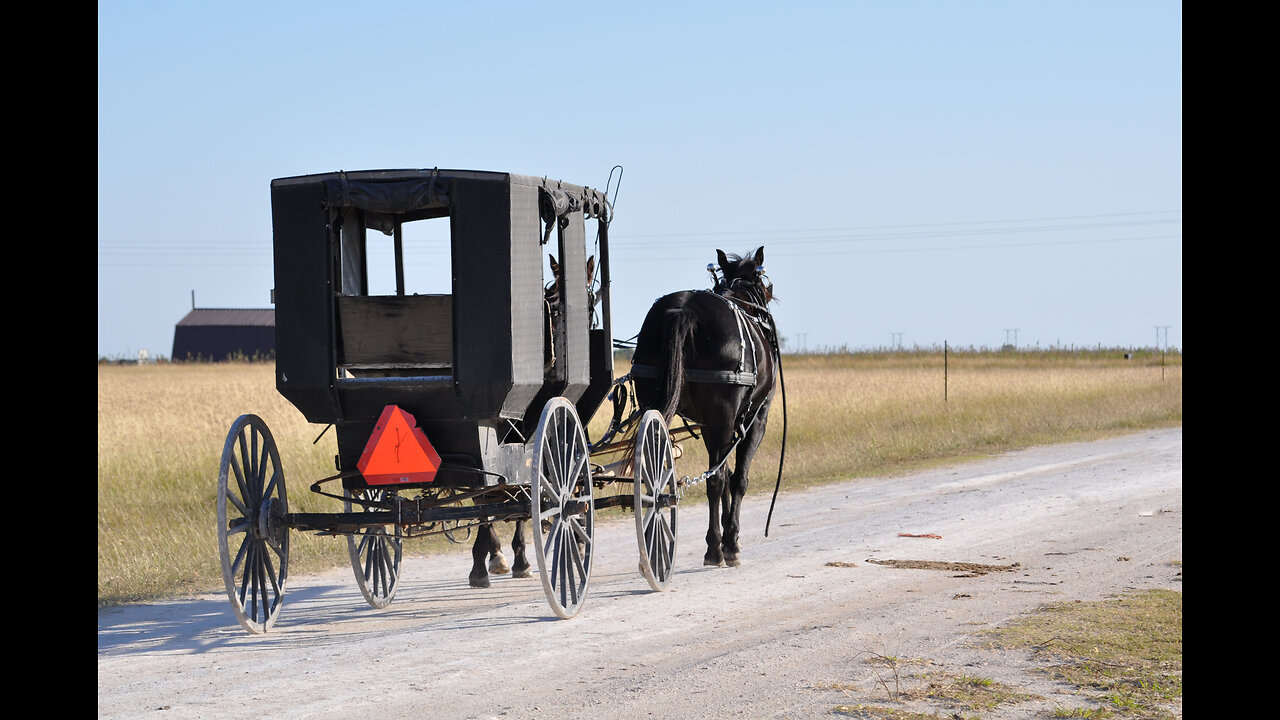 ADL, The Amish Defense League, The Good One. No Jew BS!