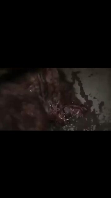 Cross-Species Genetic Bioengineering | Just One of Many Evils in the DUMBs