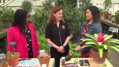 Escape winter and visit The Buffalo and Erie County Botanical Gardens - Part 4