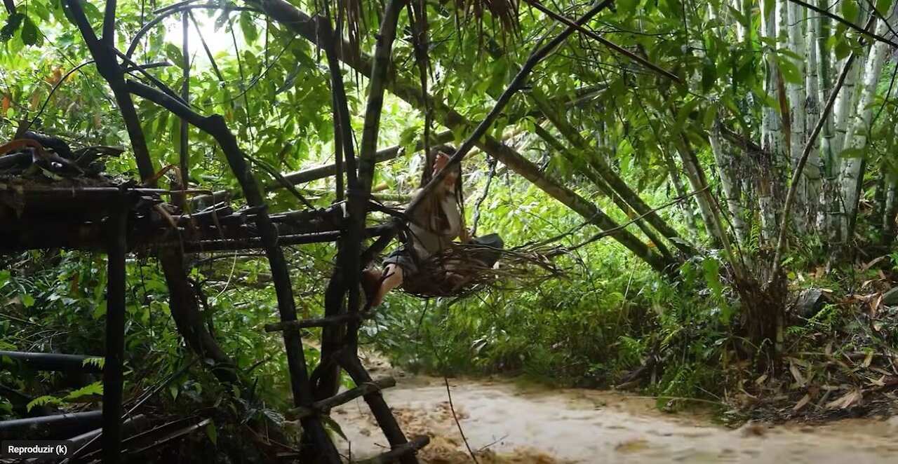 3 DAY SOLO OVERNIGHT CAMPING IN THE RAIN FOREST - RELAXING IN THE TENT WITH THE SATISFYING SOUND