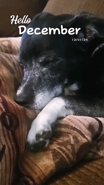 December affirmations: