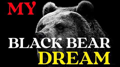 Black Bear Dream