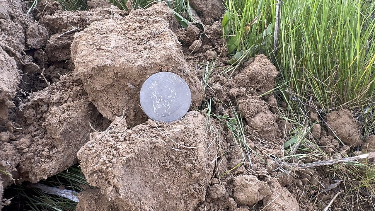 Stirling Silver LIVE Dig Minelab Manticore