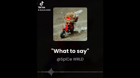 Spice Wrld - what to say