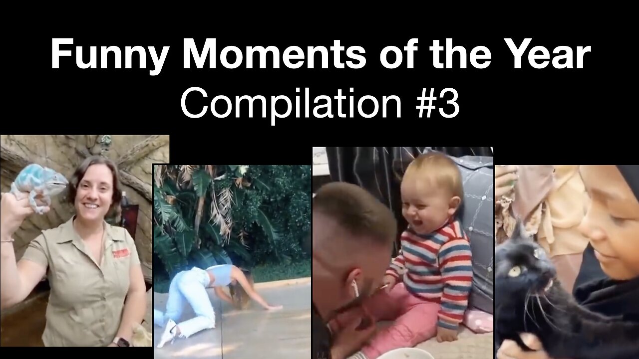 Funny Moments Of The Year - Compilation #3 😂🤣🙊