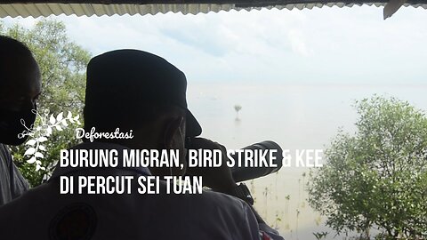 Bird Strike and Deforestation in North Sumatera, Indonesia