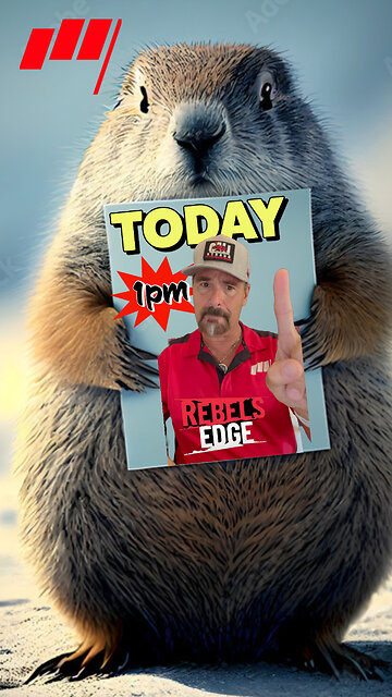 Our groundhog 🐿️flips over trades everyday. Tune into the Rebel's Edge 1pm 🕐
