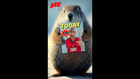 Our groundhog 🐿️flips over trades everyday. Tune into the Rebel's Edge 1pm 🕐