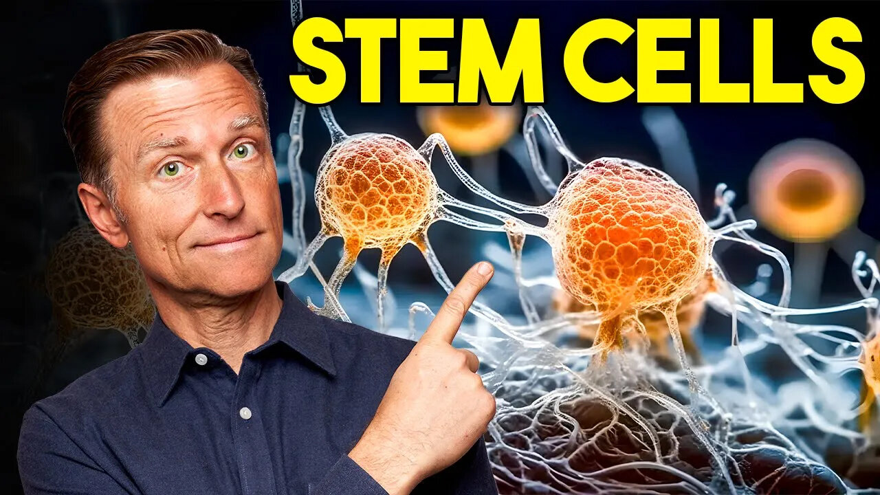 7 Ways to Stimulate Your Stem Cells