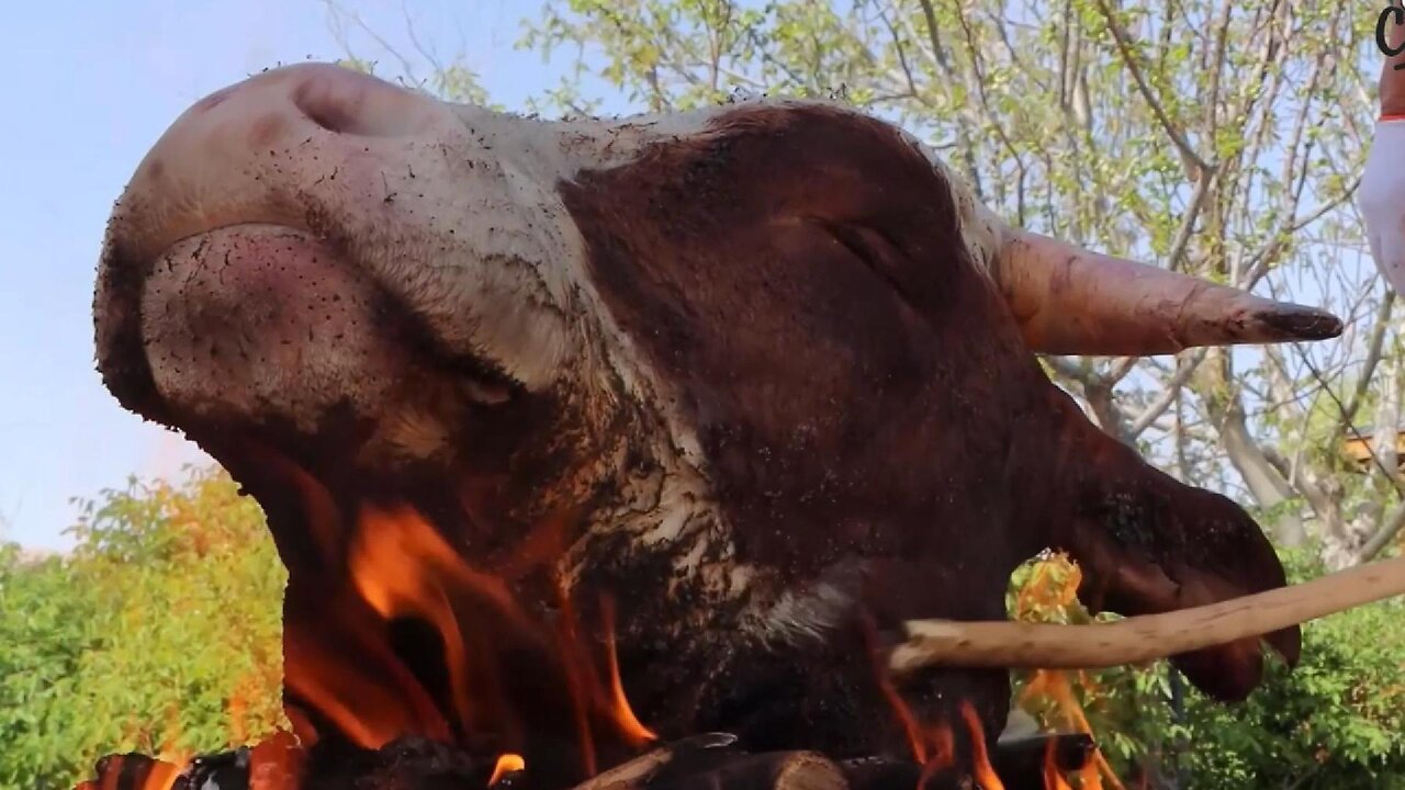 The ABSOLUTE BEST Way to Cook Spicy Bull Head Fire-Roasted and Braised