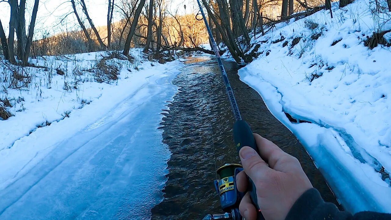 Fishing for TROUT with Homemade Spinners