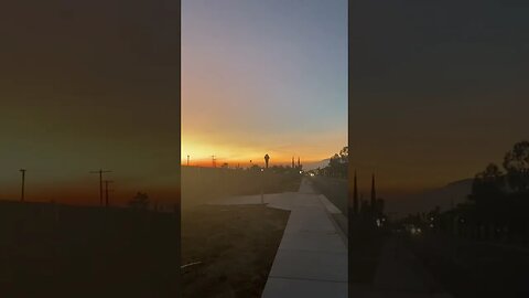 Palm Trees 🌴 At Sunset