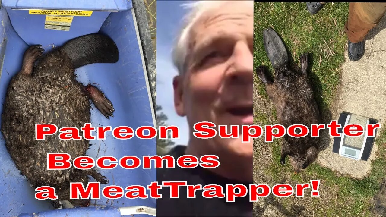 Patreon Supporter Becomes a Meat Trapper!